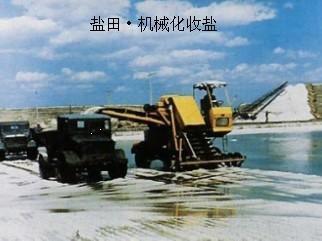 第十单元酸碱盐知识点,中考化学第十单元酸碱盐