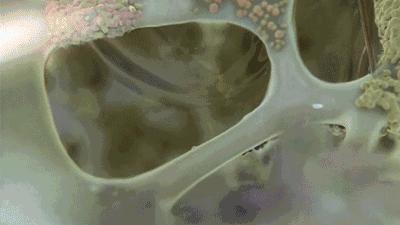 国产的眼霜哪种好用又便宜,十大公认好用的国产眼霜