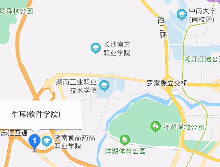 长沙牛耳软件学院有什么专业,长沙牛耳软件学院