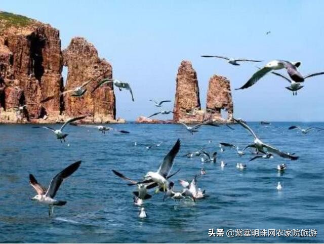 长岛好渔家,长岛当地渔家特色美食餐饮攻略