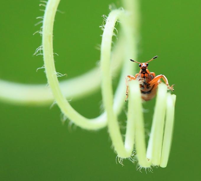 念什么咒语会改变运气,念什么咒语能让你运气变好