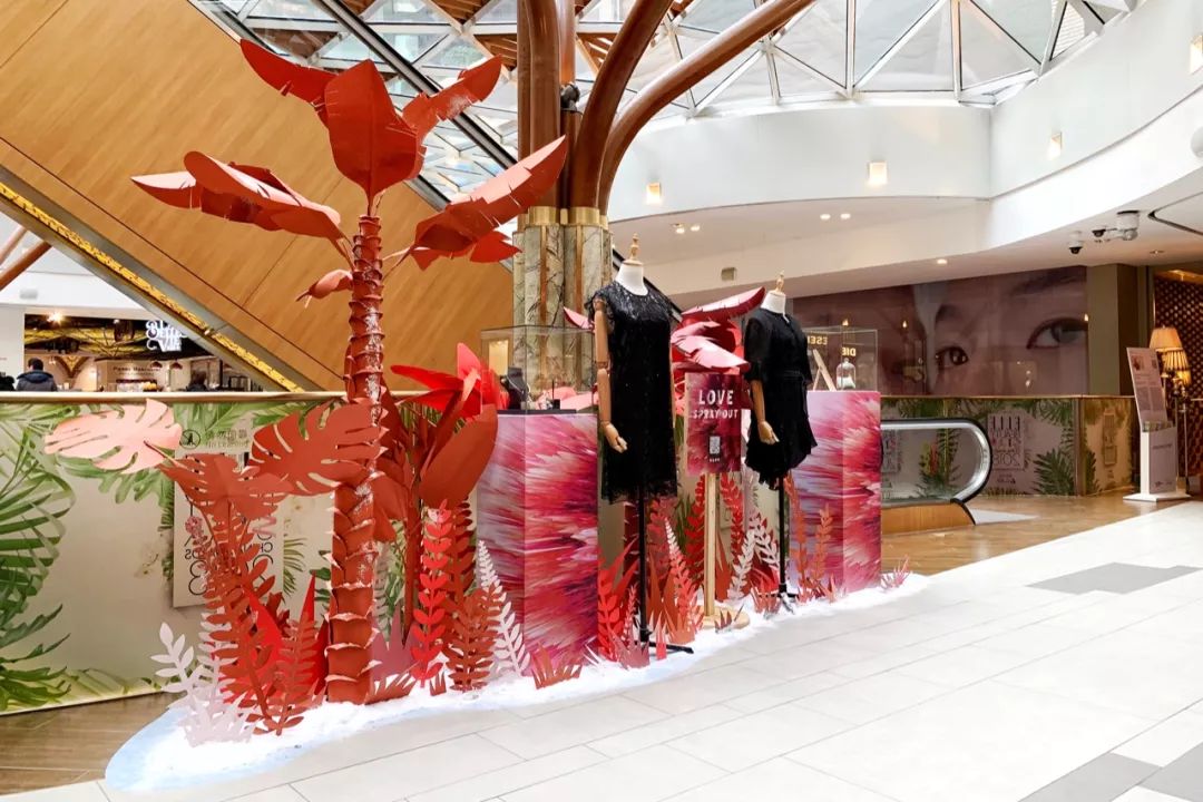 1月扫街日记（中）