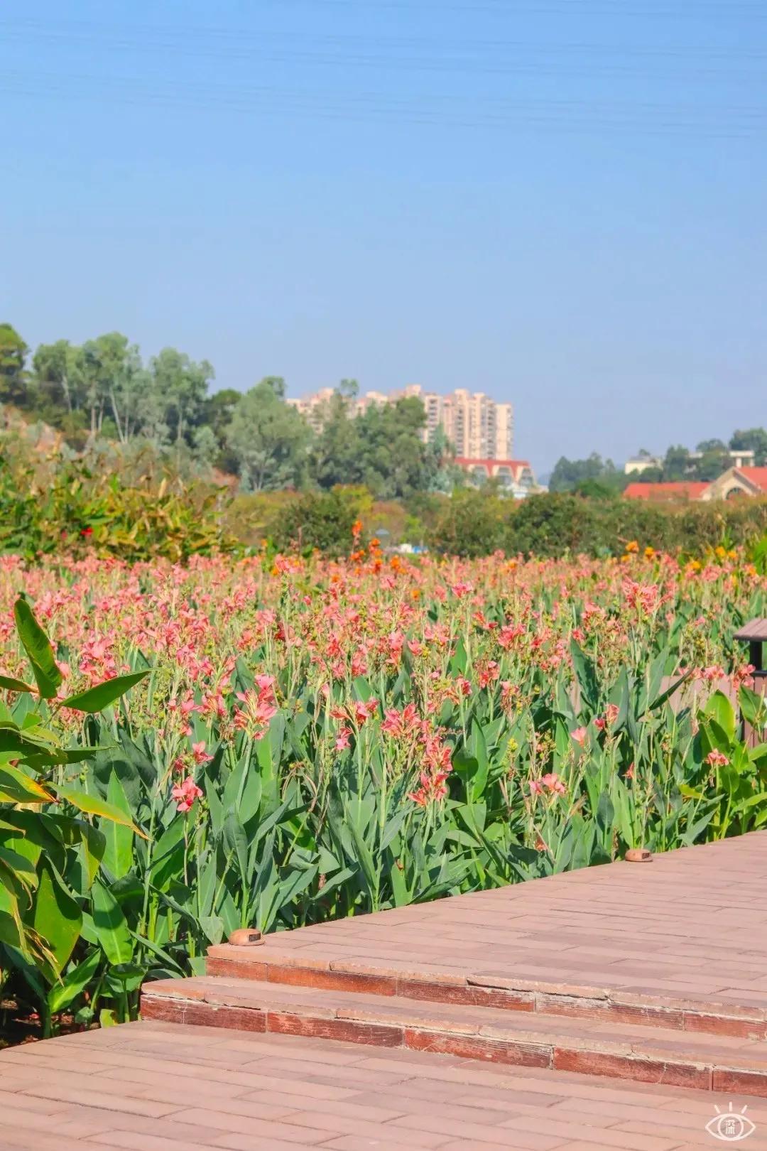 6号线都有什么景点,六号线能去的免费景点