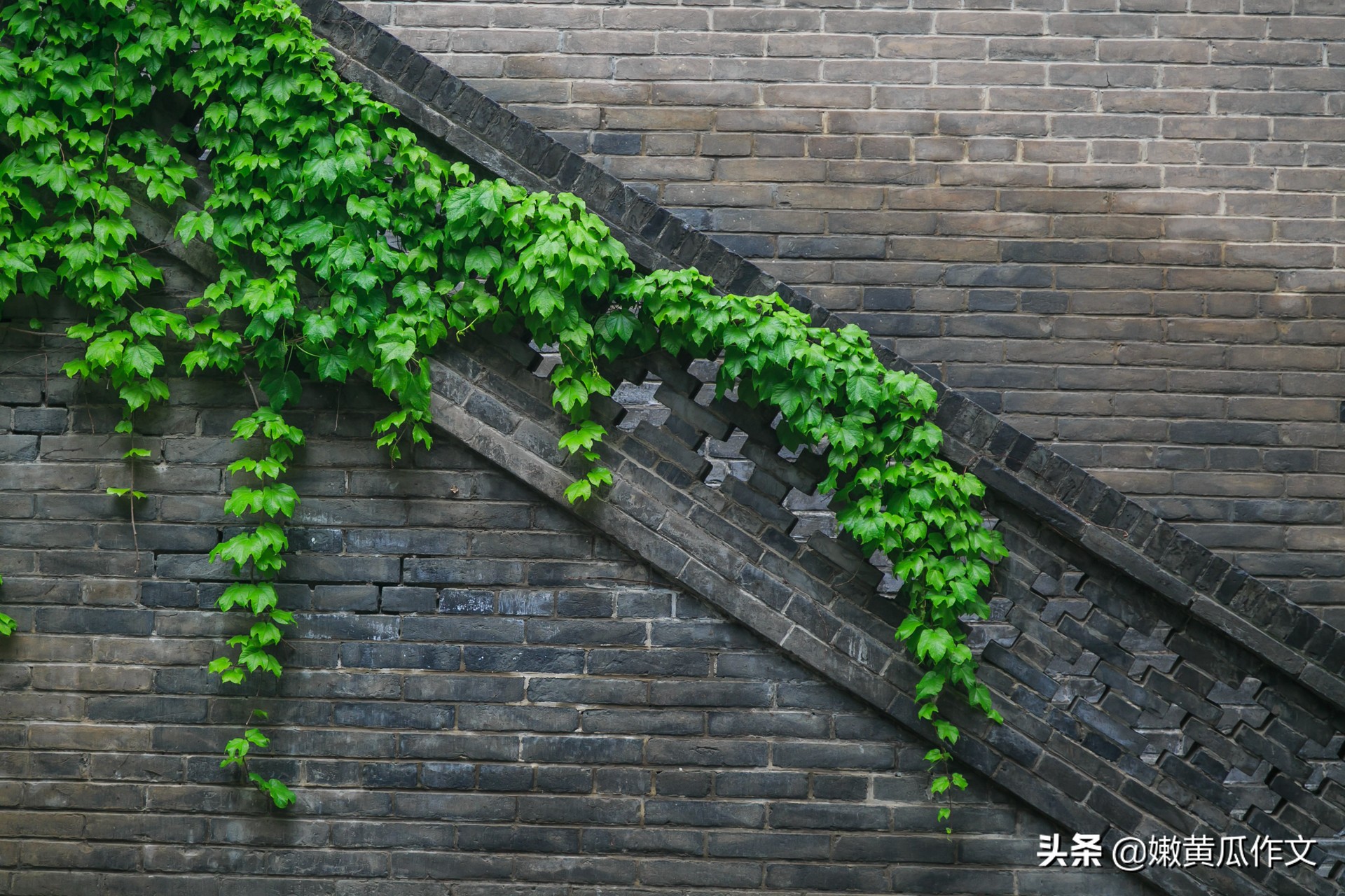 会用素材是写作硬道理!选材4招+范文3篇点亮作文航标灯