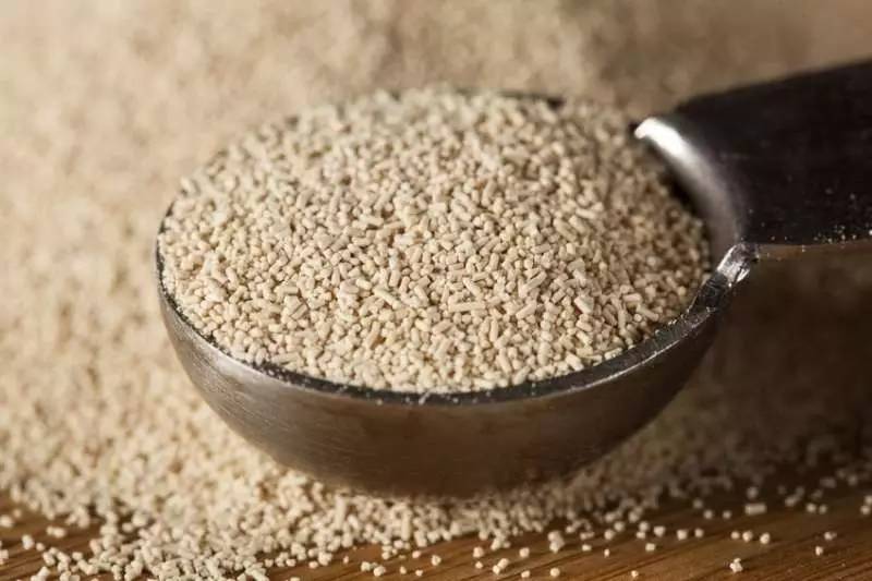 葡萄酒之酵母发酵技术