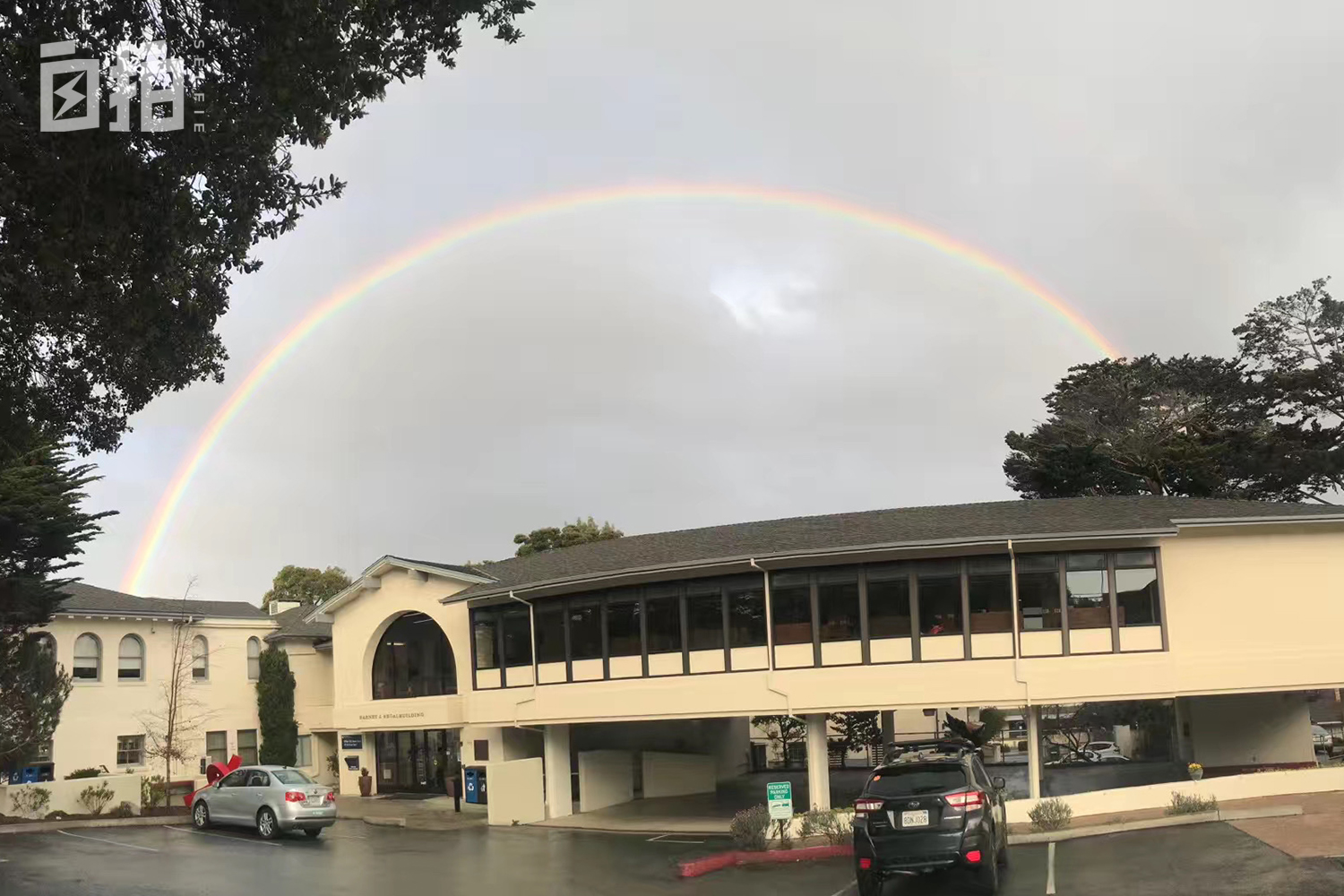 我在美国交了黑人男友，相处两年多，不敢告诉爸妈我们仍在一起