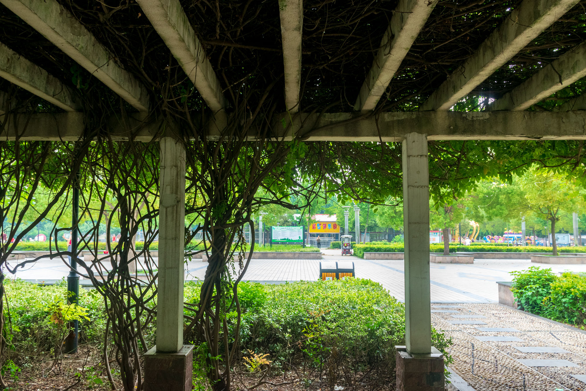 遂平县奥林匹克公园广场,遂平县奥林匹克晚会