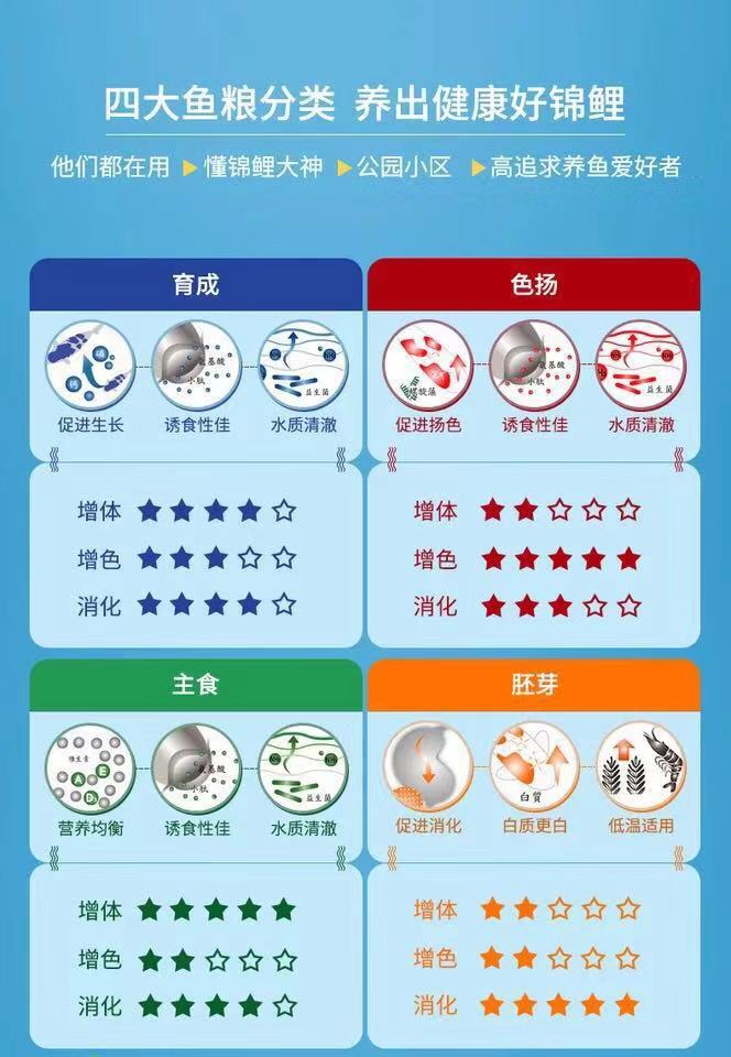 鱼缸养锦鲤鱼技术大全,缸养小锦鲤鱼的基本方法