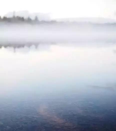 拒绝“快销式”生活，带你逛遍高质量高性价比北欧好物（下）