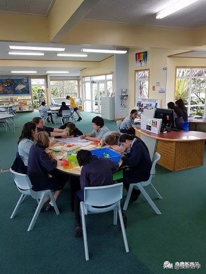 奥克兰小学生游学,奥克兰两日游旅游攻略