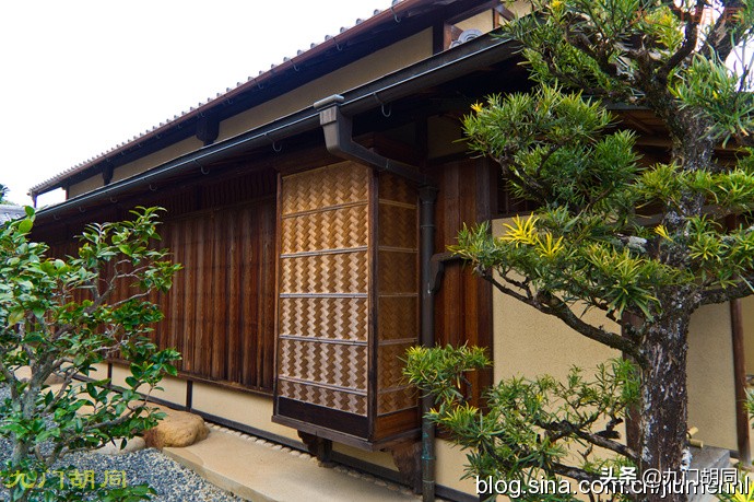 京都大德寺的庭院,织田信长墓地图片大全