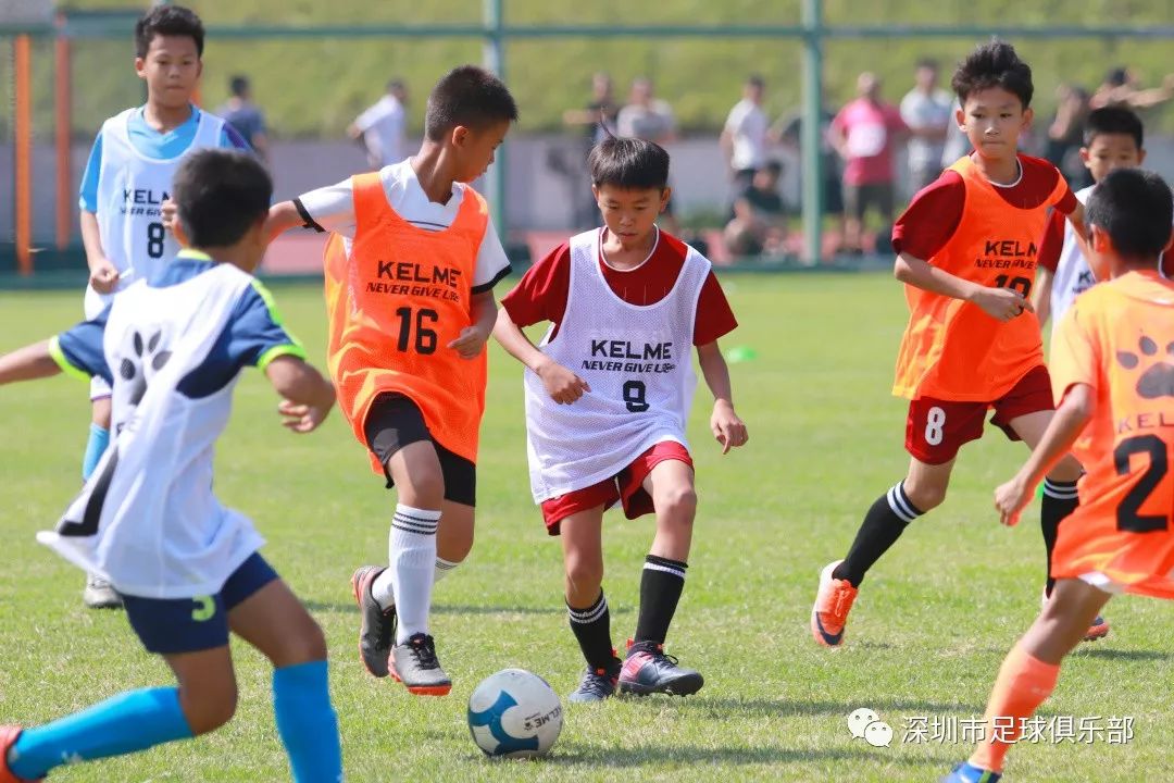 深足U11梯队选拔启动，全面考察客观评定透明公开