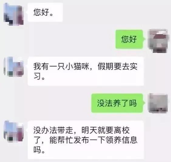 我为什么劝你别学医,在宿舍养猫很后悔