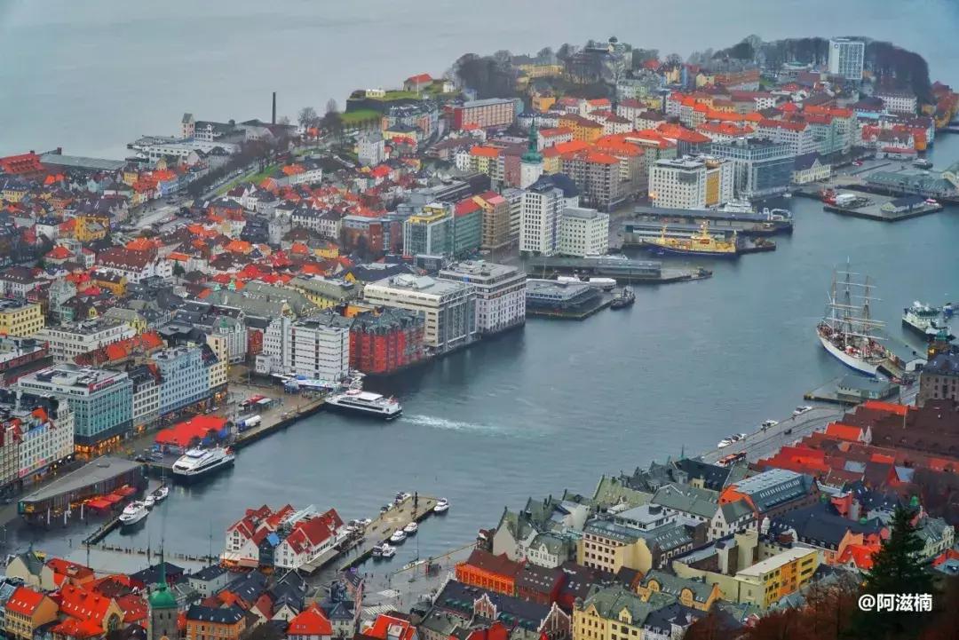 为了吃最贵的鱼你们会驱车多远,世界上最难吃的鱼青花鱼