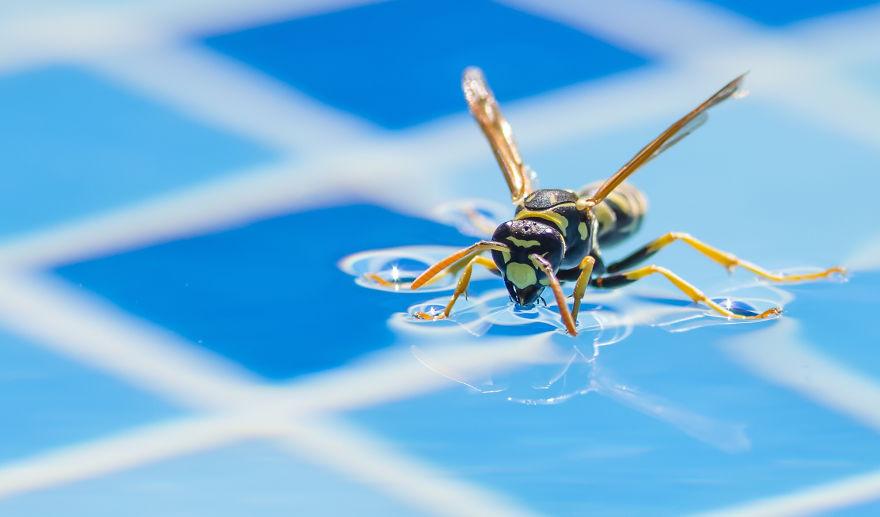 生物世界真的很奇妙,大自然中奇妙的生物