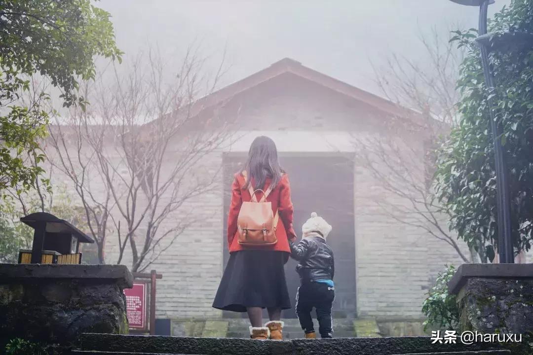 南方也能下雪吗,南方也能见到雪