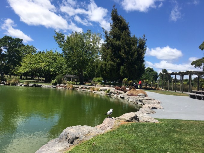 让你不出国就可以拍出欧洲即视感,让你不出家门就能看到江南的美景