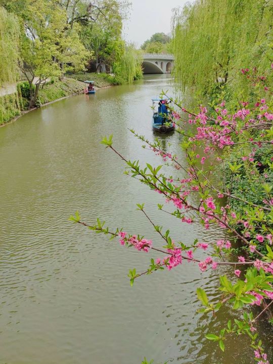 春游扬州瘦西湖,雨天游扬州瘦西湖