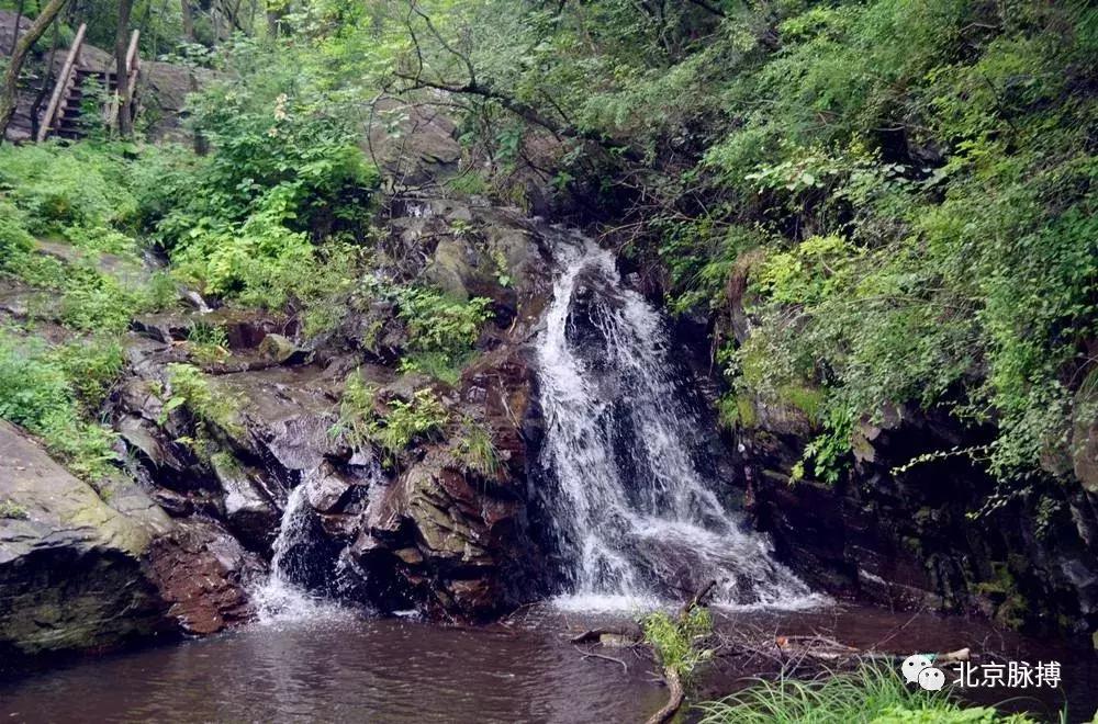 画说回龙观,北京最漂亮的森林公园