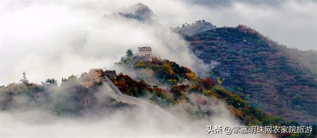 梨木台景林农家院,梨木台景林农家院直播