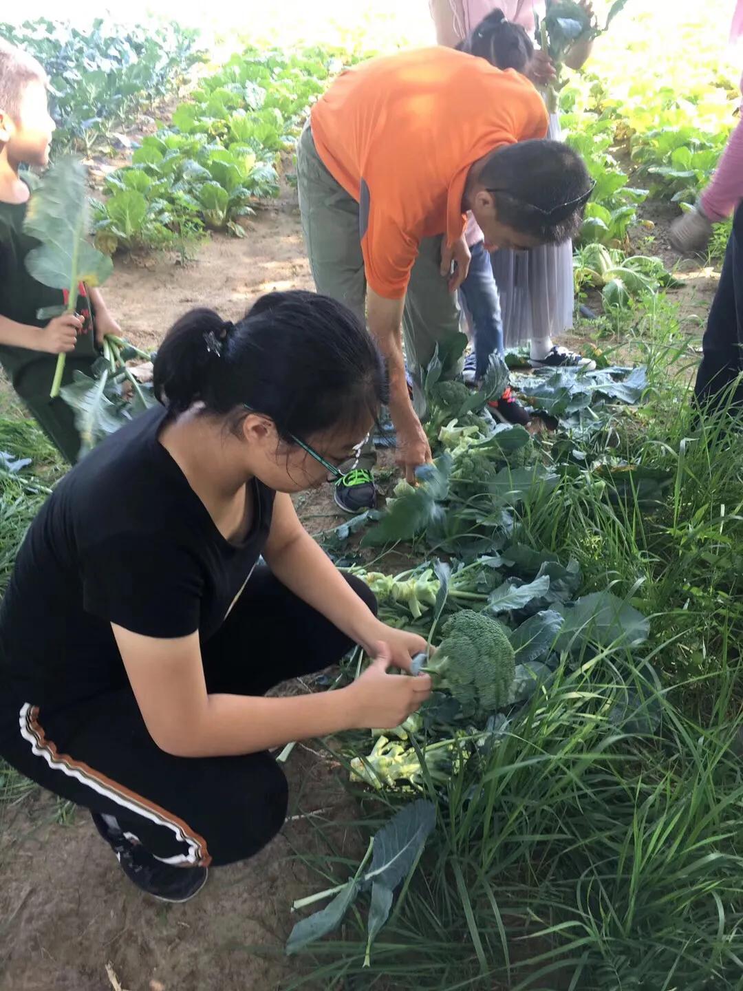 张北天路乌兰布统攻略,天津张北草原天路自驾游攻略