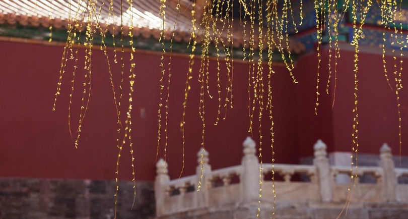 博学文雅的女宝名字,高贵霸气女宝名字大全