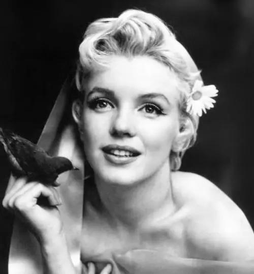 玛丽莲·梦露被误解的一生,玛丽莲梦露被误会