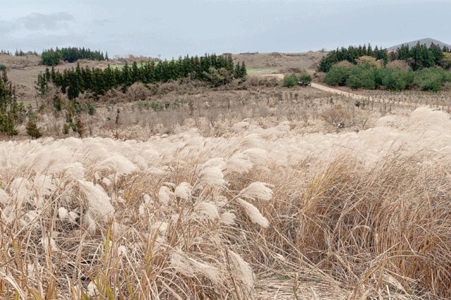 西安直飞1h,西安出发三日游冬季高铁