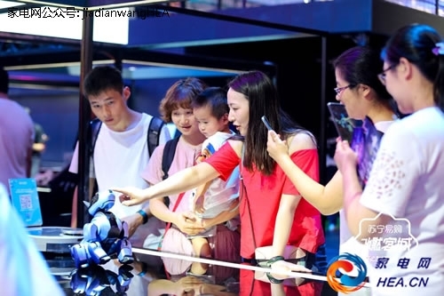 紧盯她经济苏宁拼购8日上线女性专场