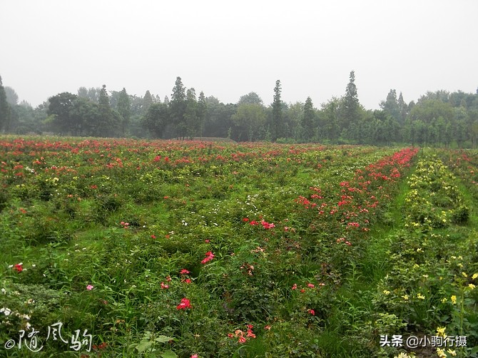 单车骑行无锡,无锡单车骑行路线