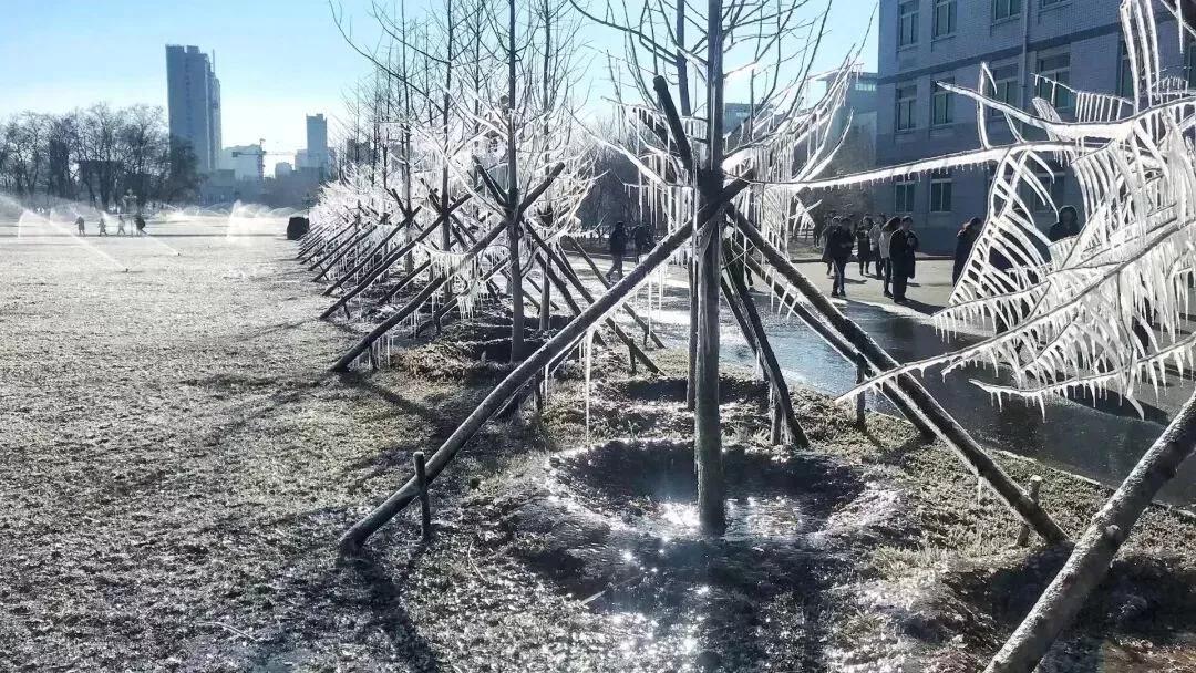 沈阳化工大学辽宁省排名,沈阳化工大学2020招生计划辽宁省