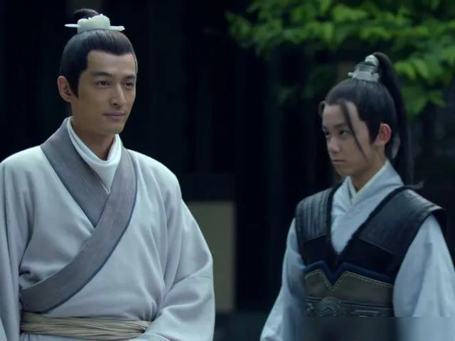 梅长苏复仇的小说,琳琅榜讲梅长苏复仇