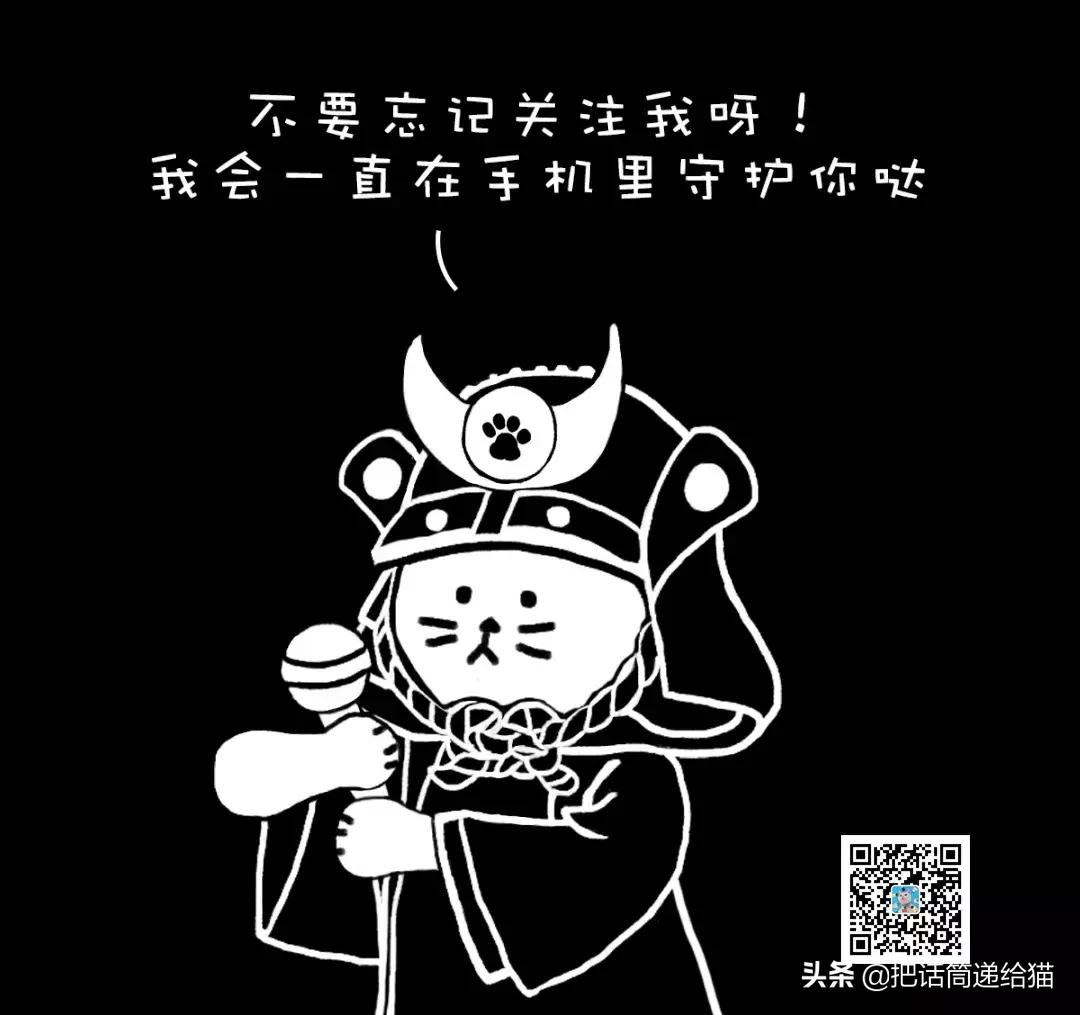 猫故事全集,猫故事小说