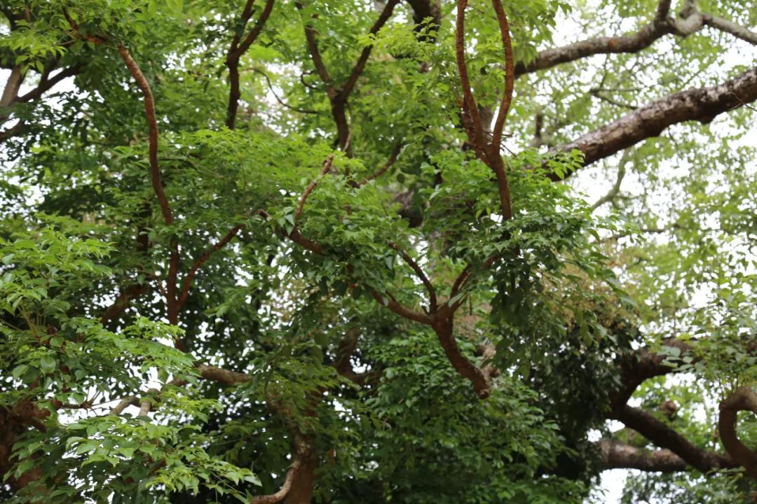 检察蓝用心守护海洋蓝,检察蓝守护最美夕阳红