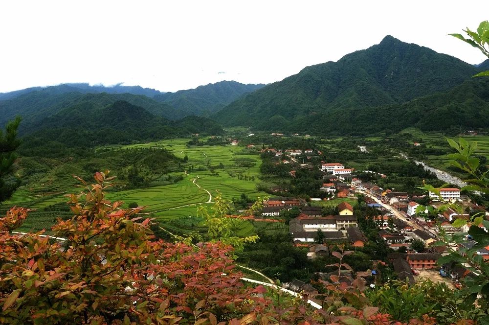 汉中农村电商发展,陕西汉中农村电商发展