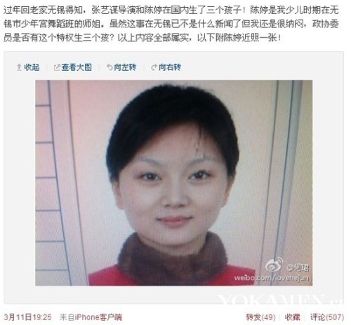 张艺谋之妻陈婷年龄,张艺谋之妻陈婷上位记