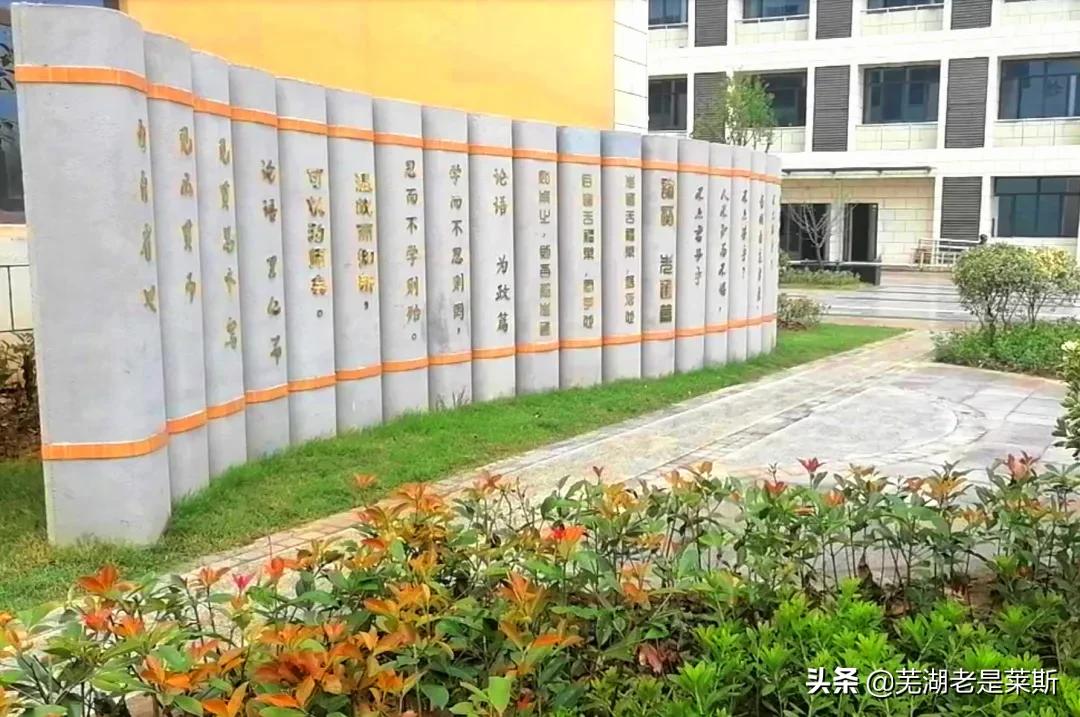 实地探访！芜湖新学校环境、师资大曝光