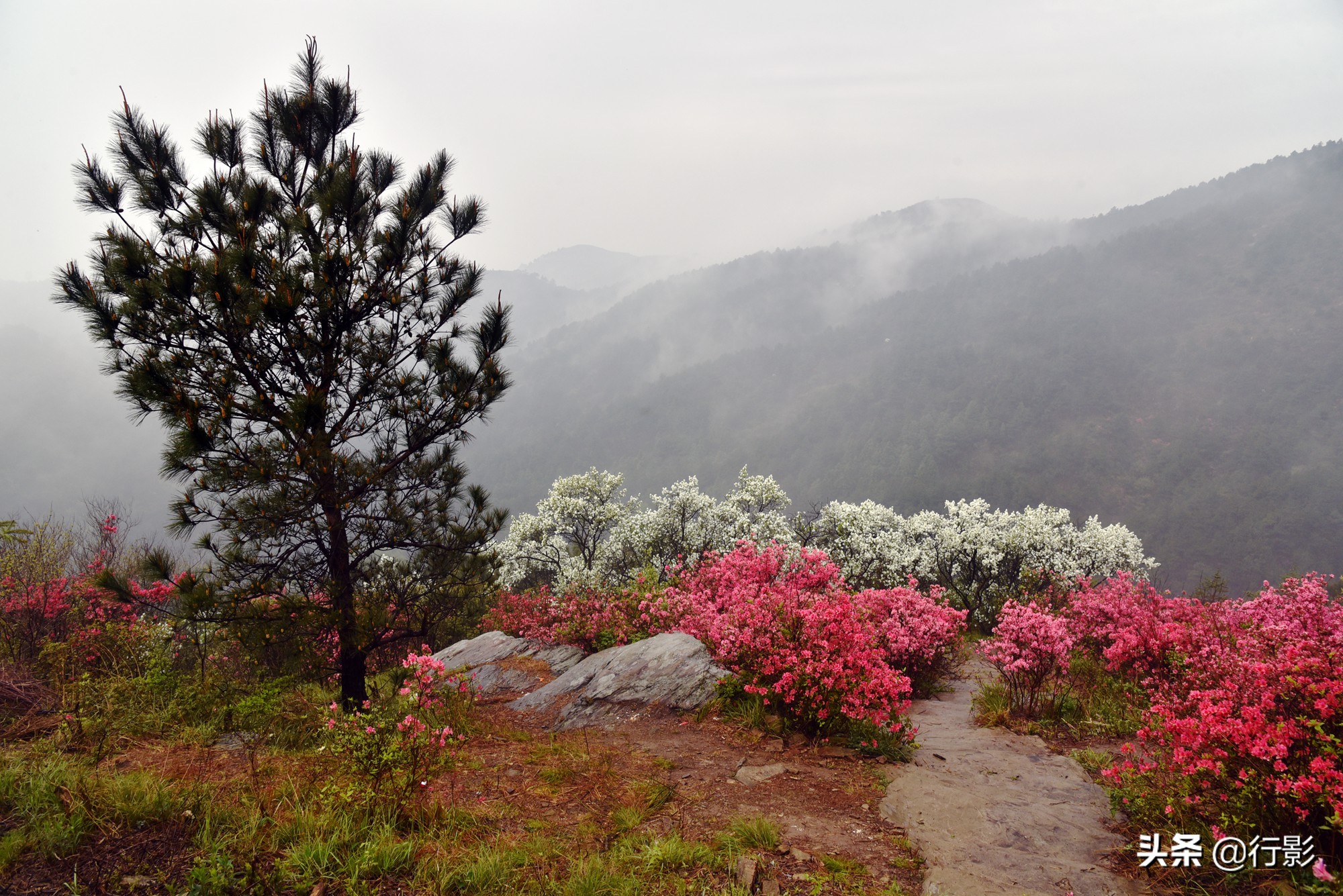 武汉青山网红打卡景点,云雾山武汉