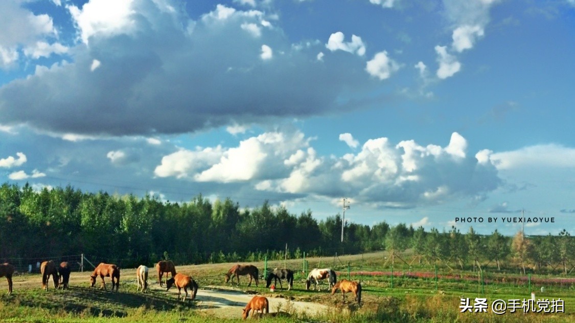 拍民族风去哪旅游,手机旅游风景摄影技巧