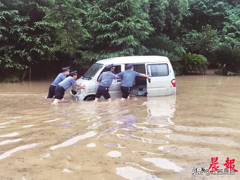 致敬暴雨中的逆行者图片,致敬暴雨中的逆行者原视频