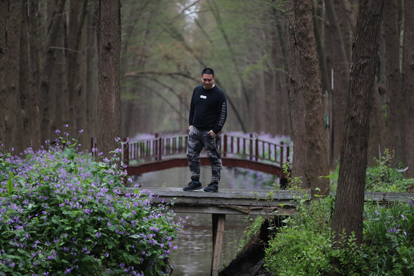 踏春赏花拍美景,踏春赏花逛湖