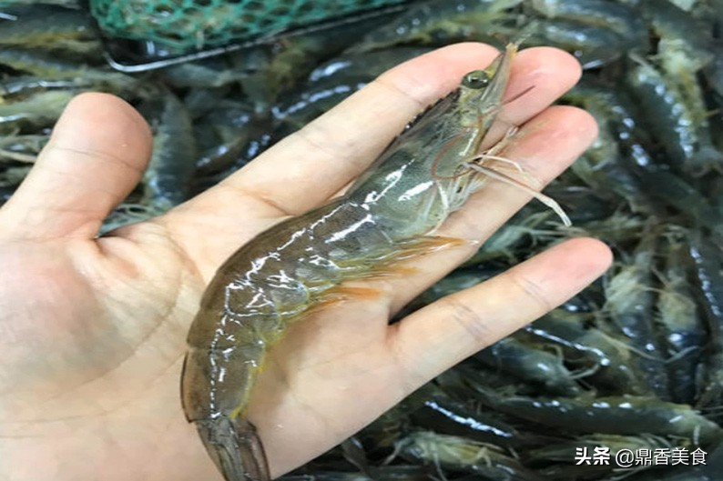 基围虾皮皮虾龙虾的区别,皮皮虾跟基围虾哪个便宜