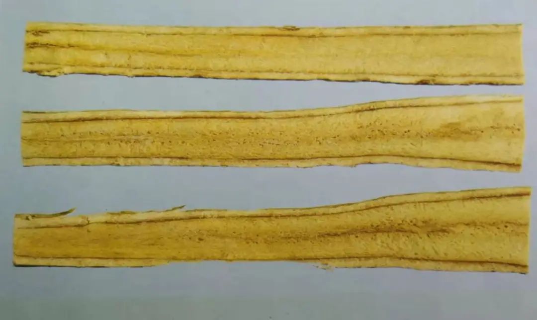 黄芪15克仙鹤草10克泡水喝作用,经常喝黄芪煮水有什么好处