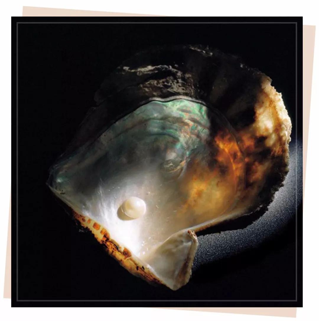 郑爽落榜！杨幂靠后！这场珠宝大战谁赢了？