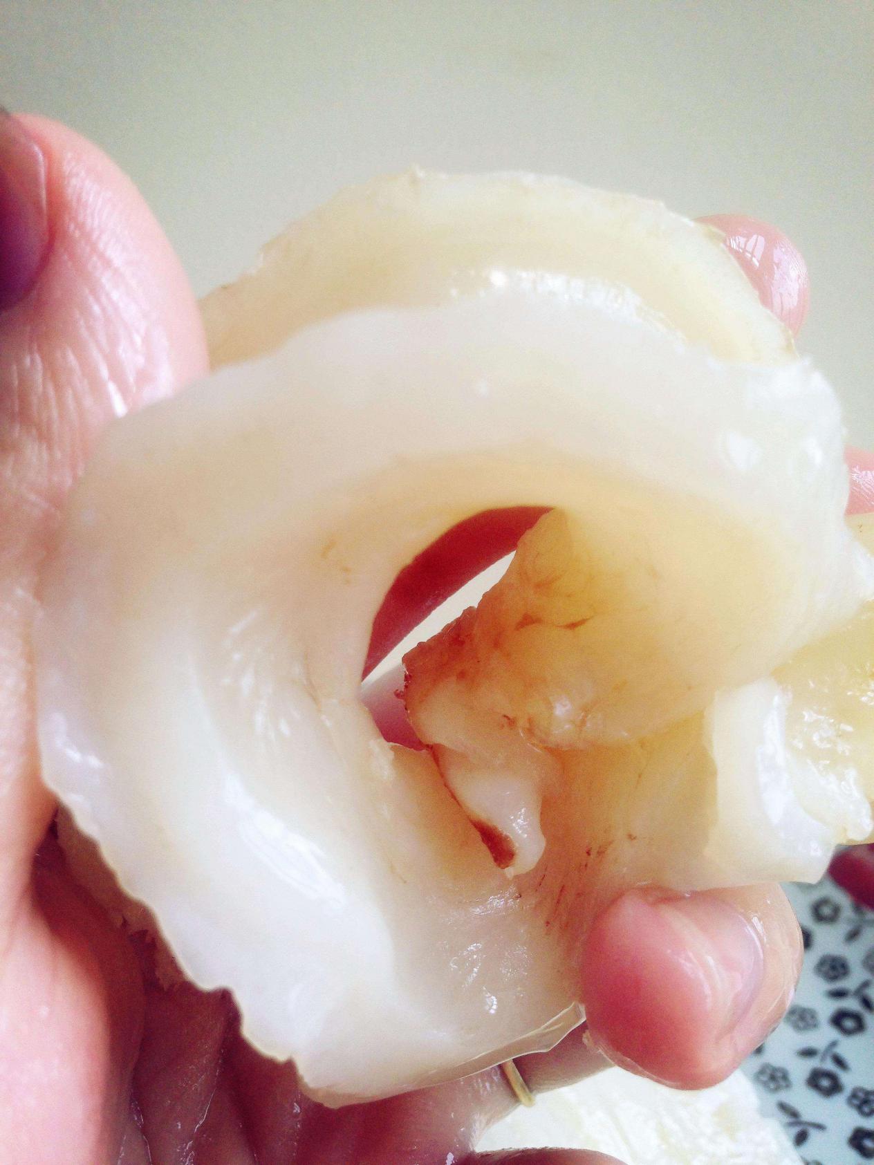 鱼胶是最珍贵的吗,鱼胶为什么这么贵不就是鱼鳔吗