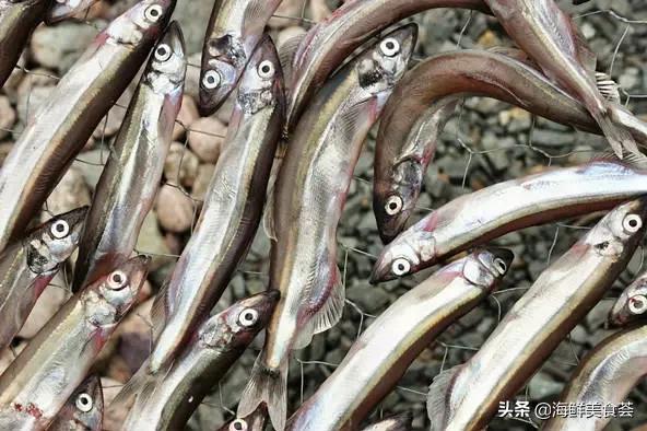 适合用来烧烤的海鱼,适合烧烤的海鱼品种