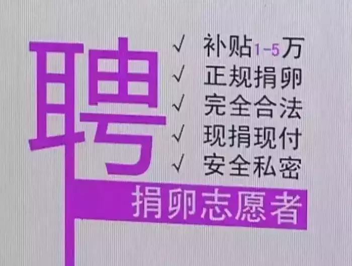 密蜜诗蕊丨“捐卵后”,是交不完的智商税