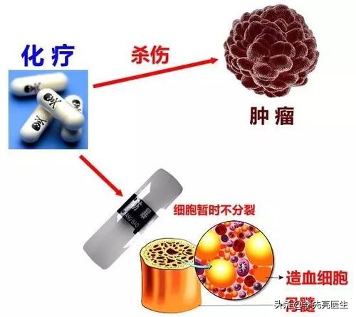 癌症患者的福音国产新型抗癌药,抗癌突破新方向