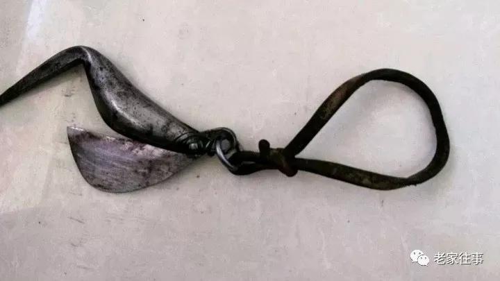 老家的印象和往事 (老家的印象介绍)