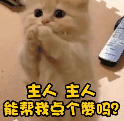 珠海四国赛,珠海四国邀请赛